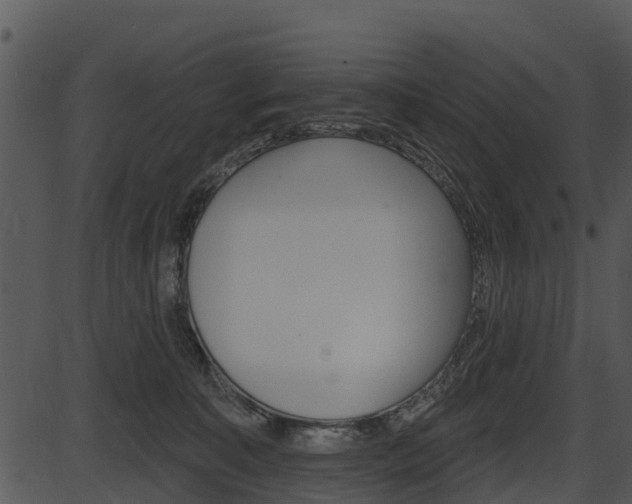 X0000087510323200704270800