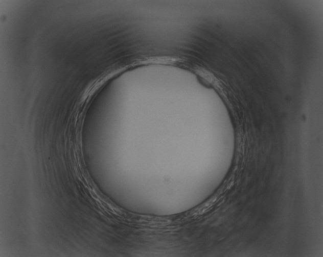 X0000087510337200704270759