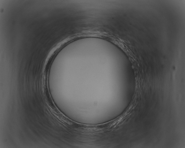 X0000087510342200704270759