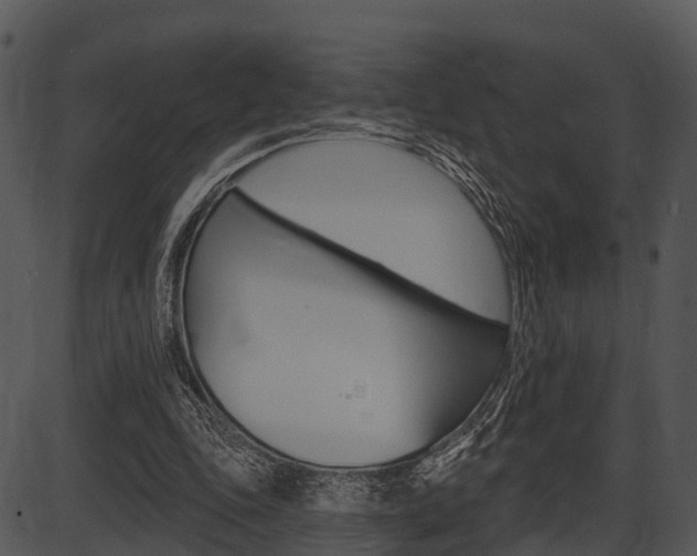 X0000087510343200704270759