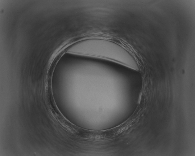 X0000087510344200704270759