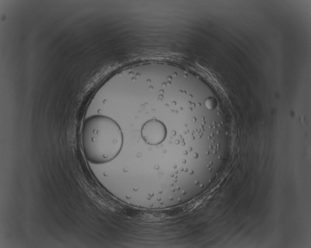 X0000087510346200704270759