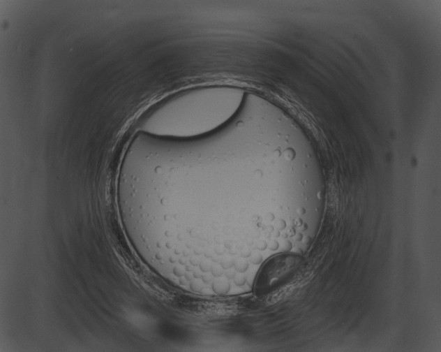 X0000087510347200704270759