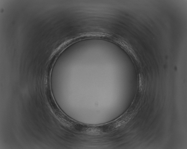 X0000087510348200704270759