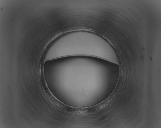 X0000087510350200704270759