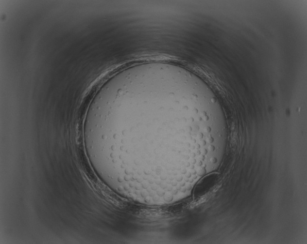 X0000087510351200704270759