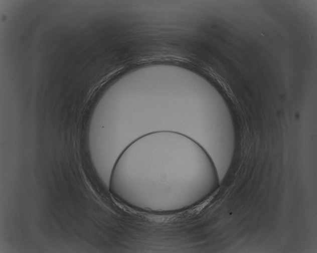X0000087510356200704270759