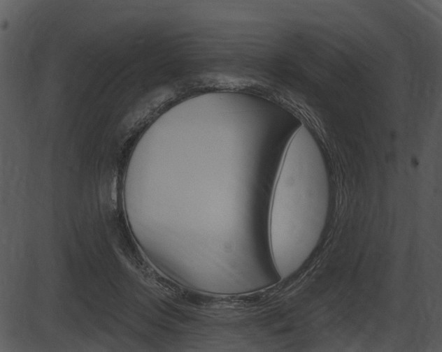 X0000087510358200704270759