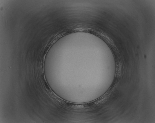 X0000087510361200704270759
