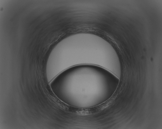 X0000087510362200704270759