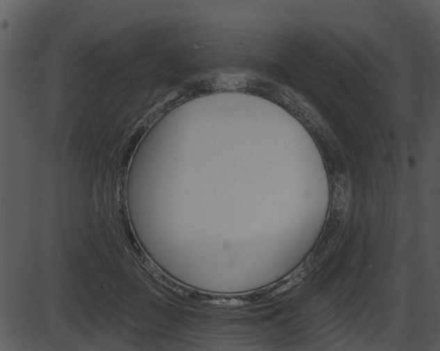 X0000087510363200704270800