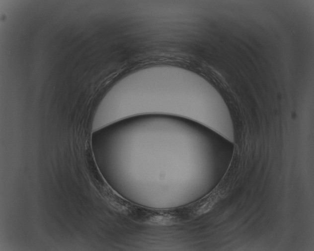 X0000087510364200704270800