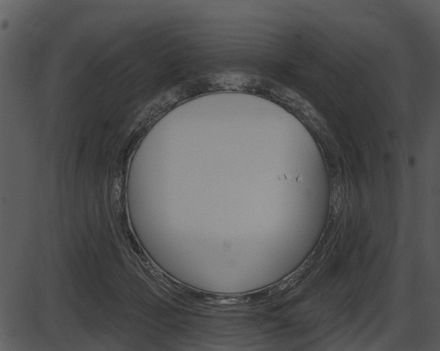 X0000087510365200704270800