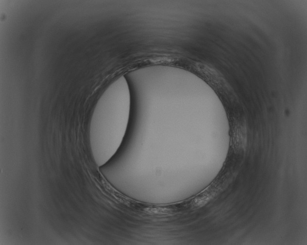 X0000087510367200704270800