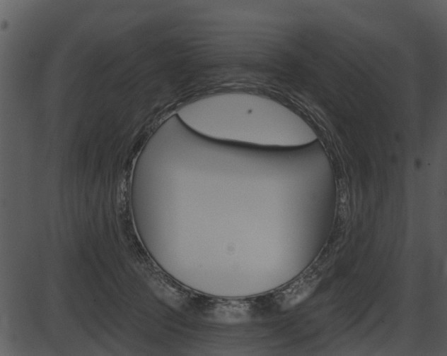 X0000087510369200704270800