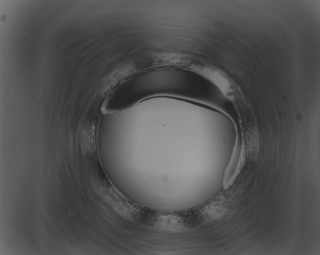 X0000087510376200704270800