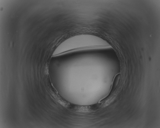 X0000087510384200704270800