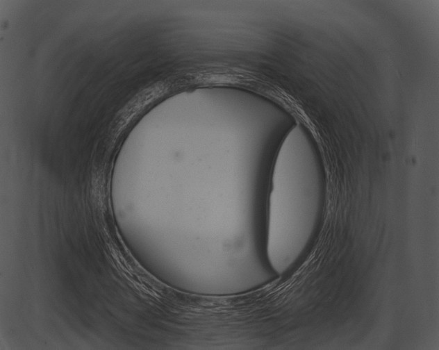 X0000087510386200704270759