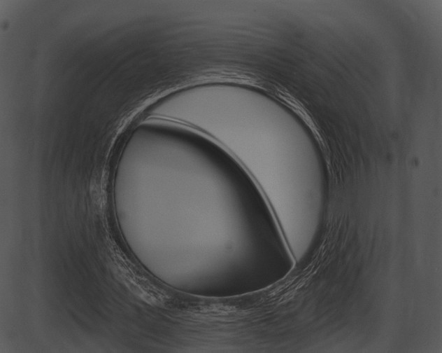 X0000087510387200704270759