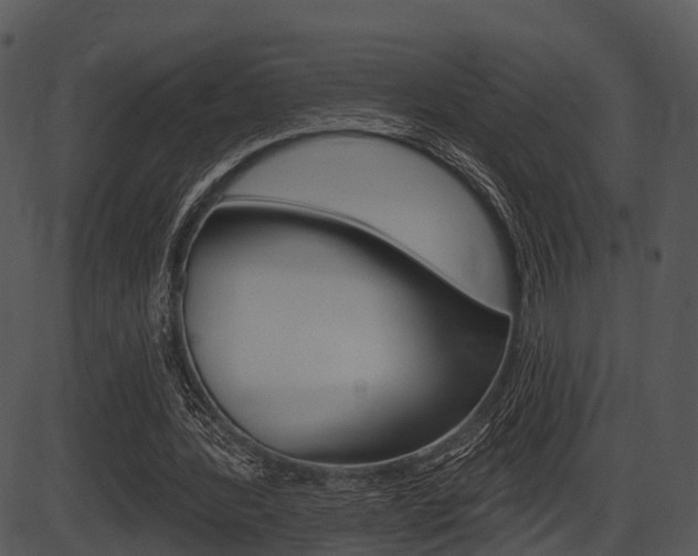 X0000087510388200704270759