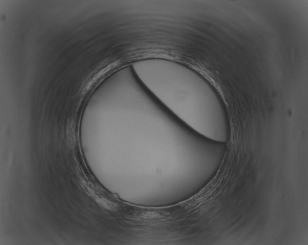 X0000087510390200704270759