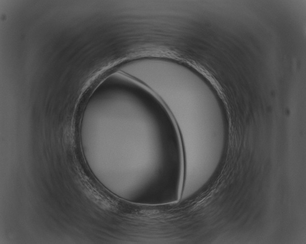 X0000087510391200704270759