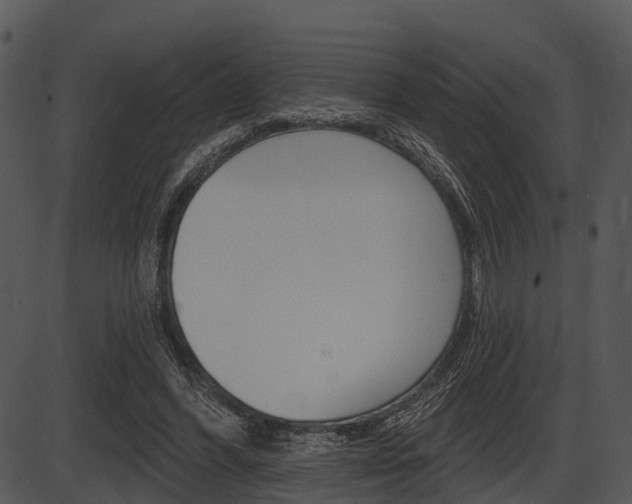 X0000087510396200704270759