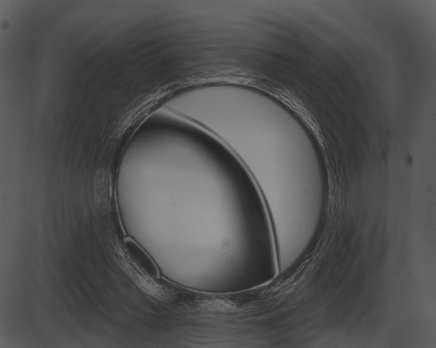 X0000087510397200704270759