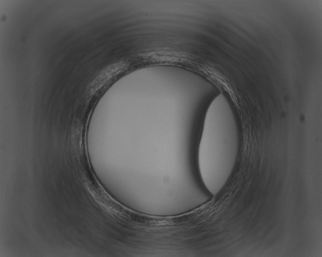 X0000087510398200704270759