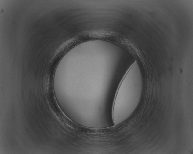 X0000087510400200704270759