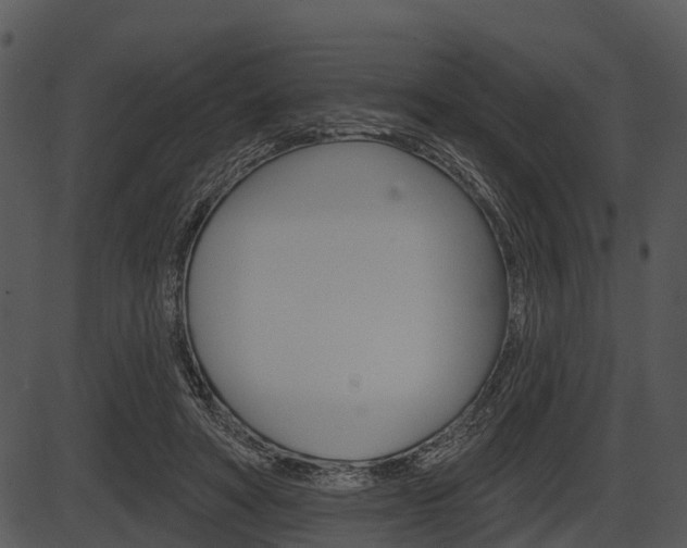 X0000087510402200704270759