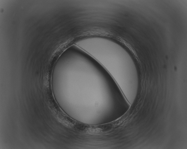 X0000087510403200704270759