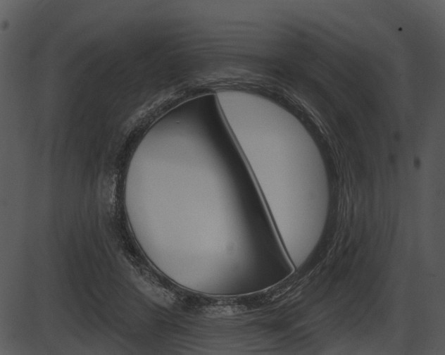 X0000087510404200704270759