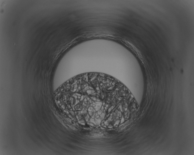 X0000087510405200704270759
