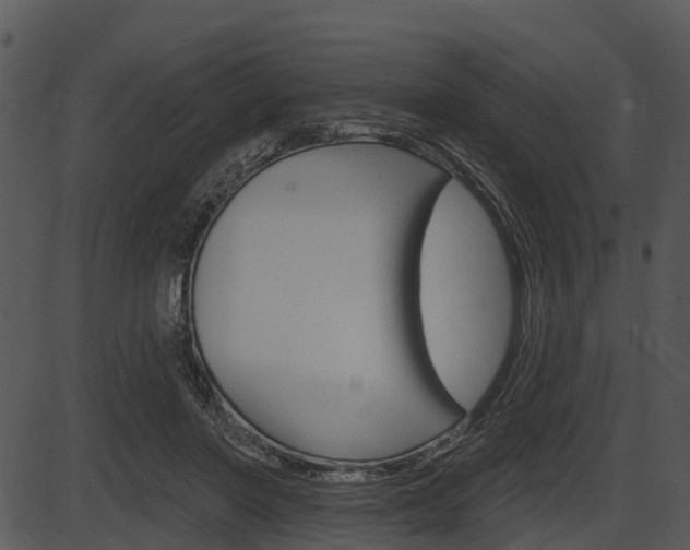 X0000087510406200704270759