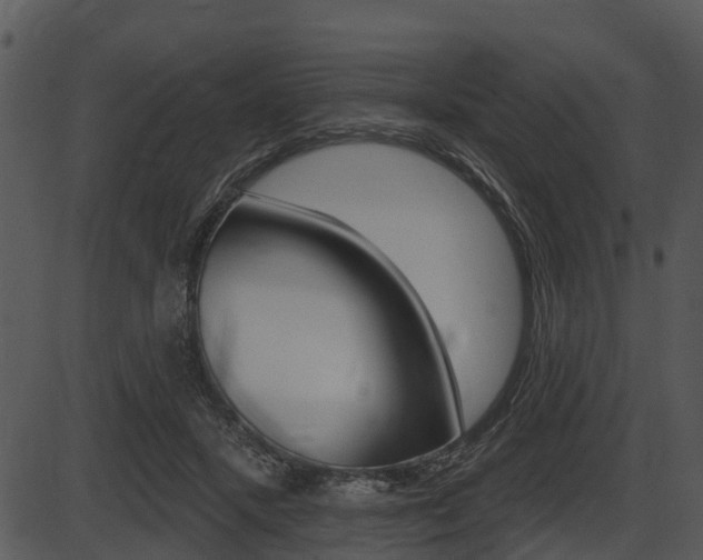 X0000087510407200704270759