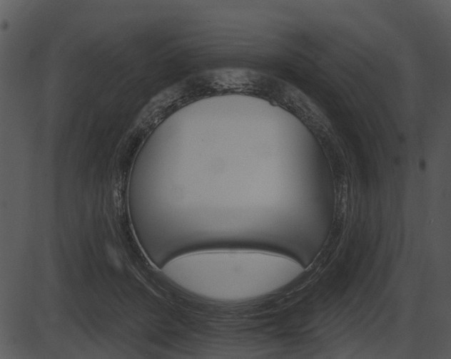 X0000087510408200704270759