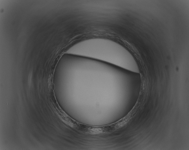 X0000087510409200704270759