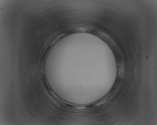 X0000087510410200704270759
