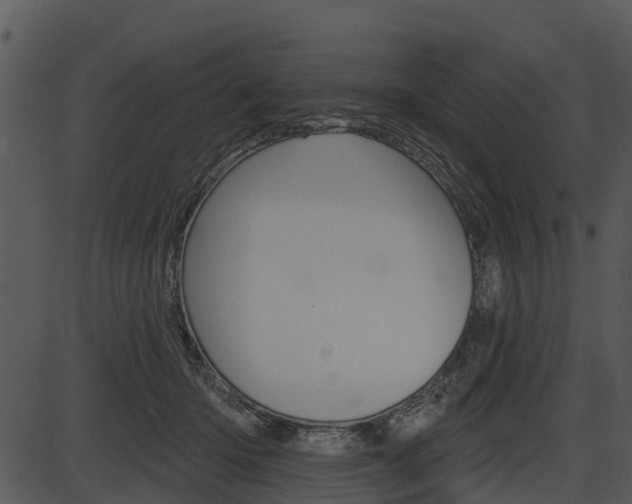 X0000087510414200704270759