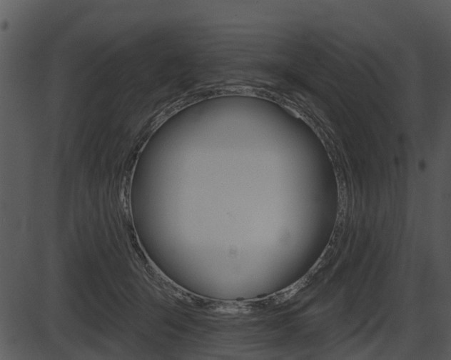 X0000087510415200704270759
