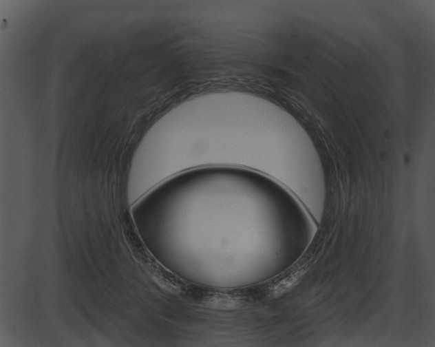 X0000087510416200704270759