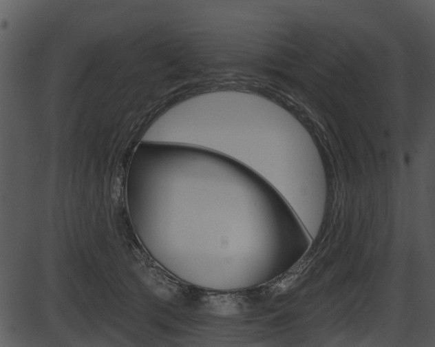 X0000087510417200704270759