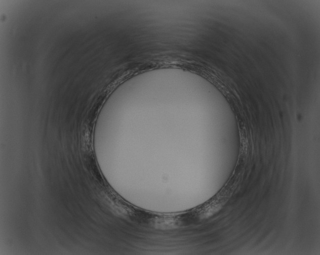 X0000087510418200704270759