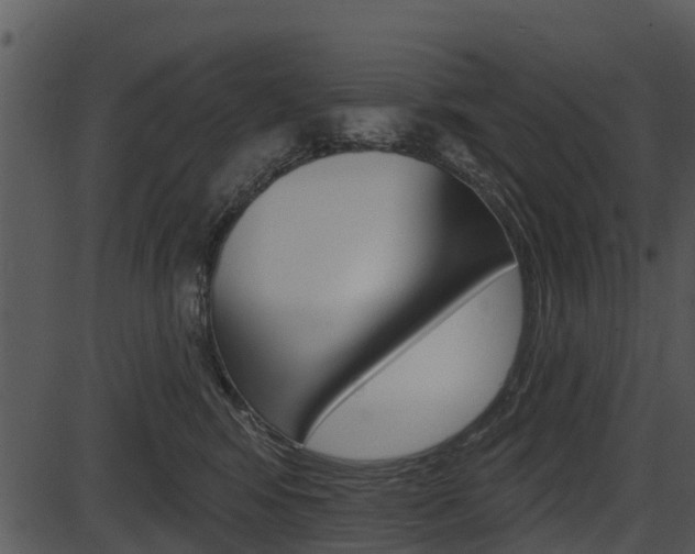 X0000087510424200704270758