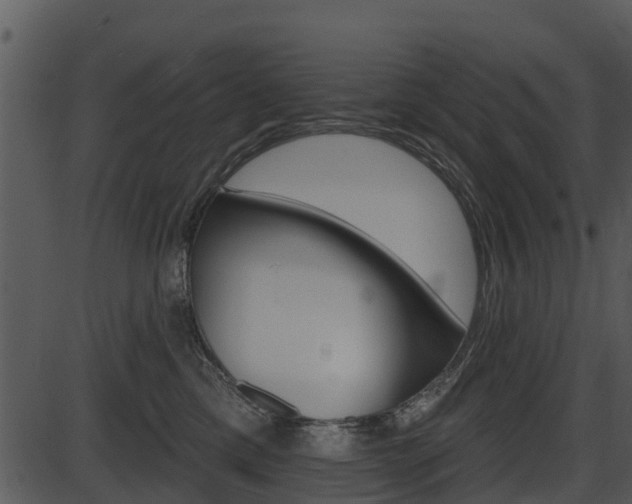 X0000087510425200704270758