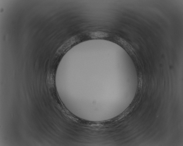 X0000087510426200704270758