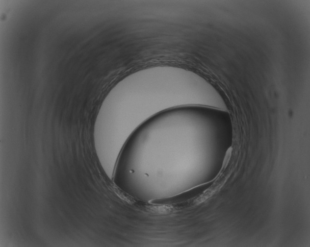 X0000087510432200704270758