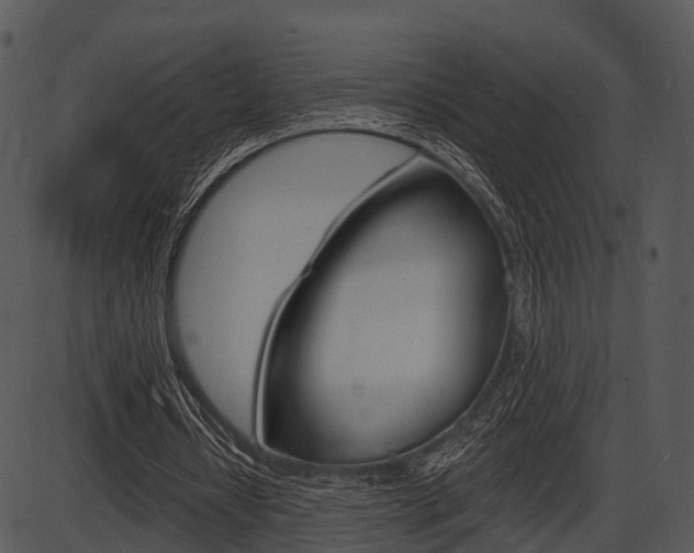 X0000087510434200704270758