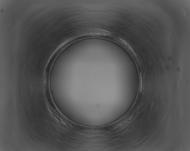 X0000087510435200704270758